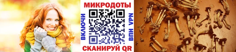 наркошоп  Елизаветинская  Галлюциногенные грибы мухоморы 